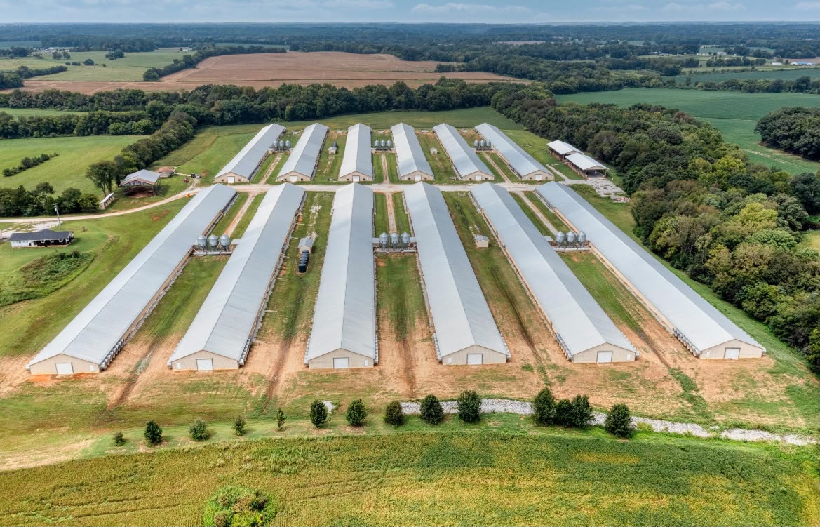 Aerial view of ten broiler houses in parallel rows