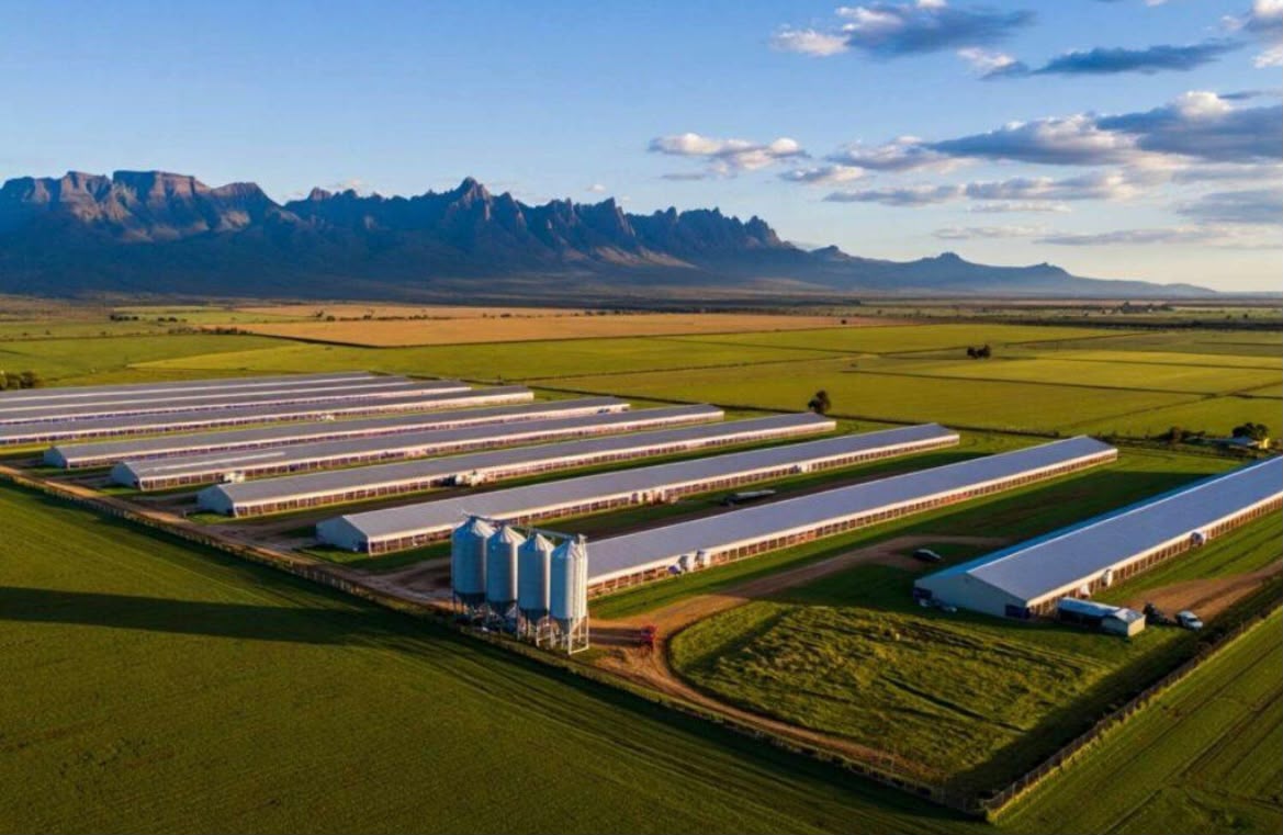 Aerial view of Summit Poultry broiler farm with mountain backdrop