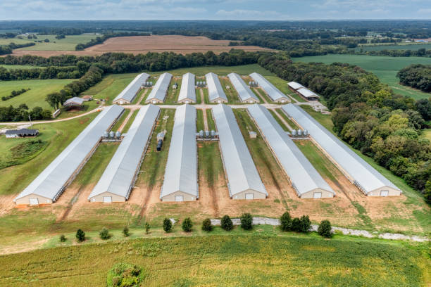 Aerial view of ten Summit Poultry broiler houses, each with capacity for 50,000 birds